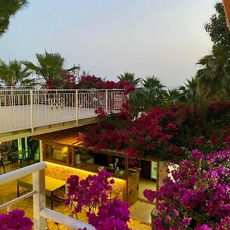 Hotel Kalemi's Beachside