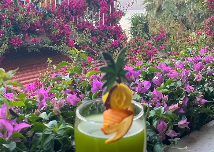 فندق Kalemi's Beachside