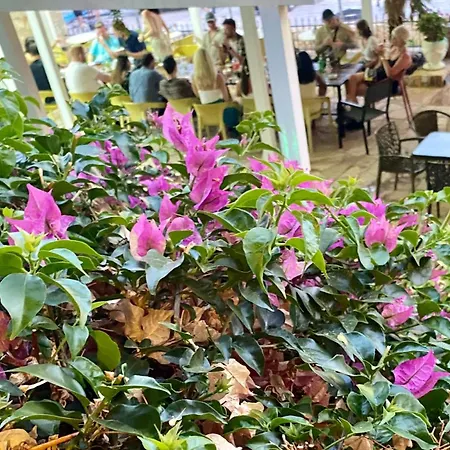 Kalemi's Beachside فندق