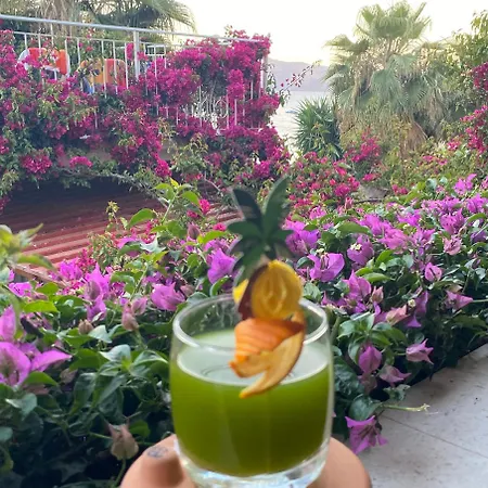 ホテル Kalemi's Beachside