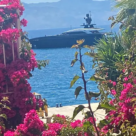 Kalemi's Beachside ホテル