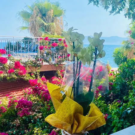 ホテル Kalemi's Beachside