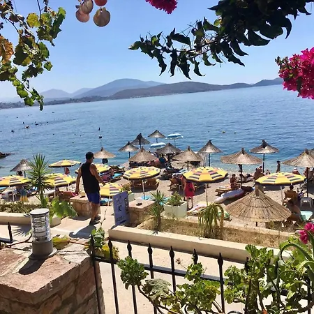 Kalemi's Beachside 3* ساراندا