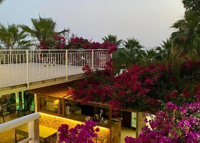 Hotel Kalemi's Beachside