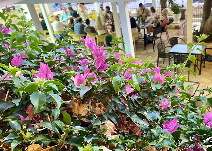 Kalemi's Beachside Hotel